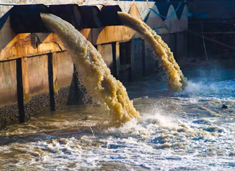 ¿Cómo llega el agua potable a tu casa?
